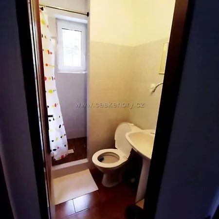 Nikol Konukevi Šumperk